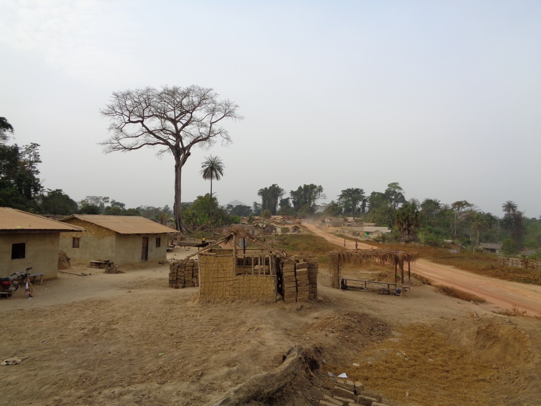 Village with Cotton Tree.JPG